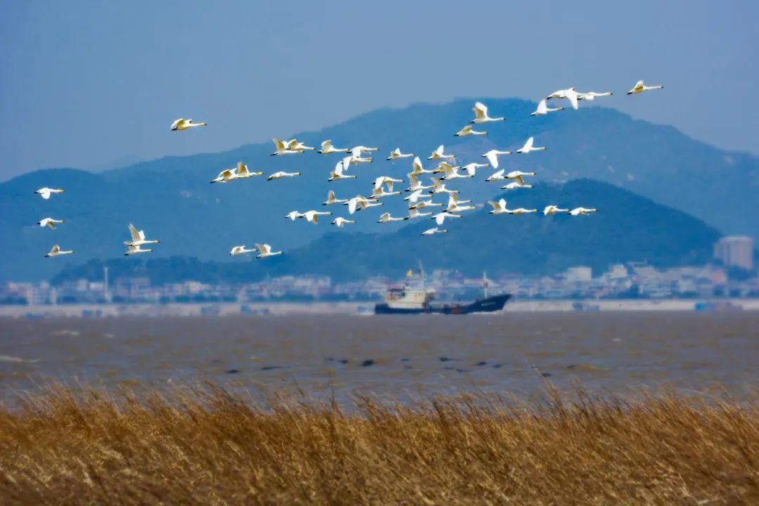 @李现，来福州“打鸟”吧