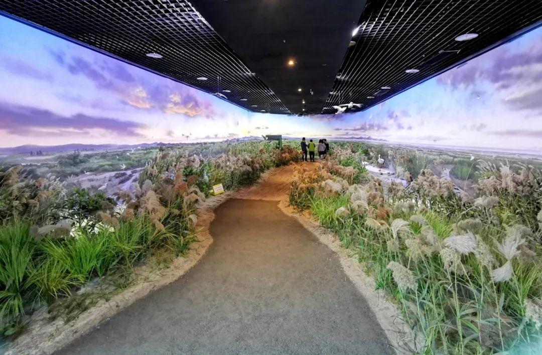 @李现，来福州“打鸟”吧