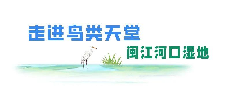 @李现，来福州“打鸟”吧