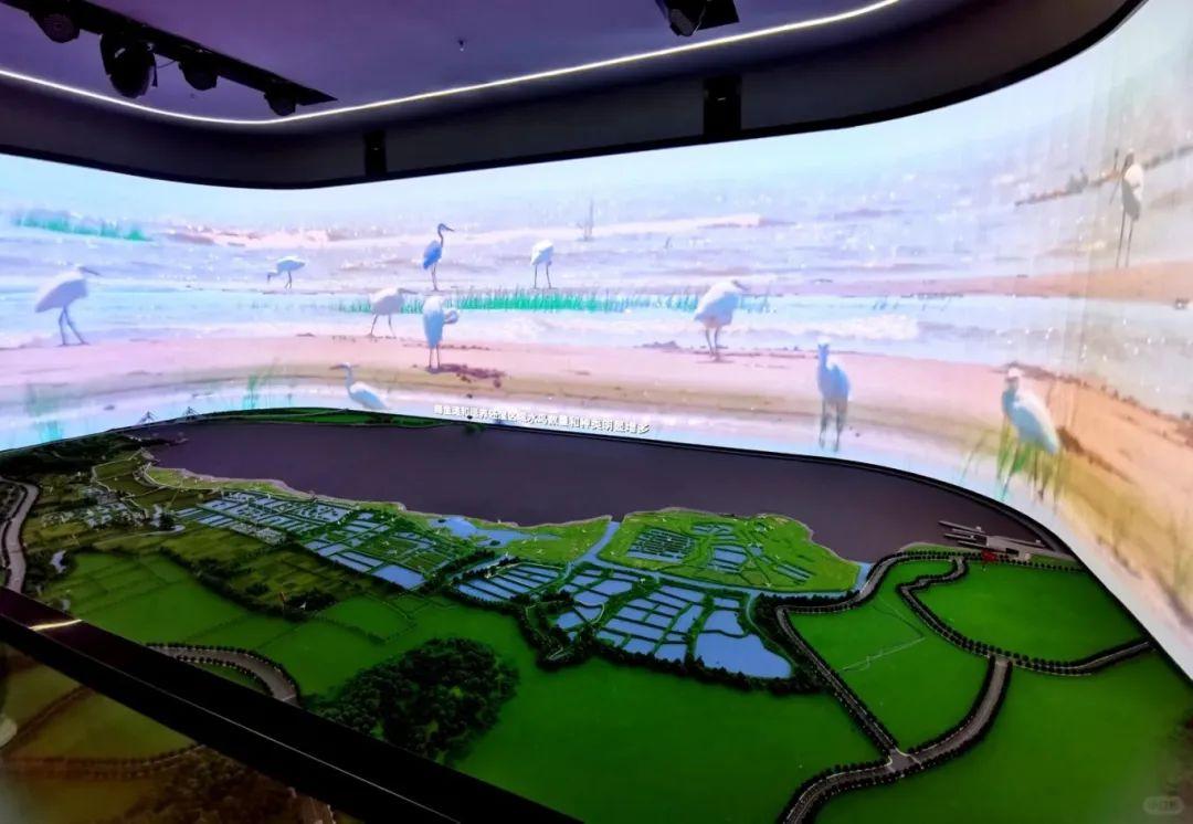 @李现，来福州“打鸟”吧