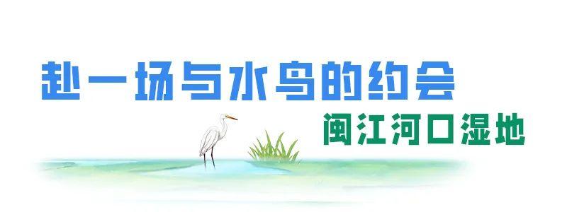 @李现，来福州“打鸟”吧