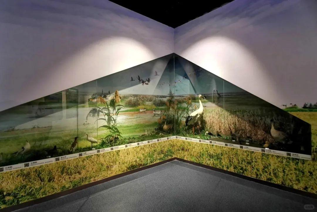 @李现，来福州“打鸟”吧