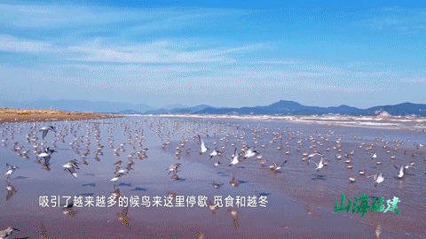 @李现，来福州“打鸟”吧