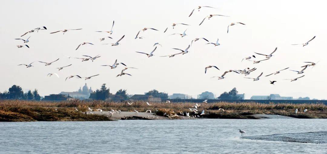 @李现，来福州“打鸟”吧