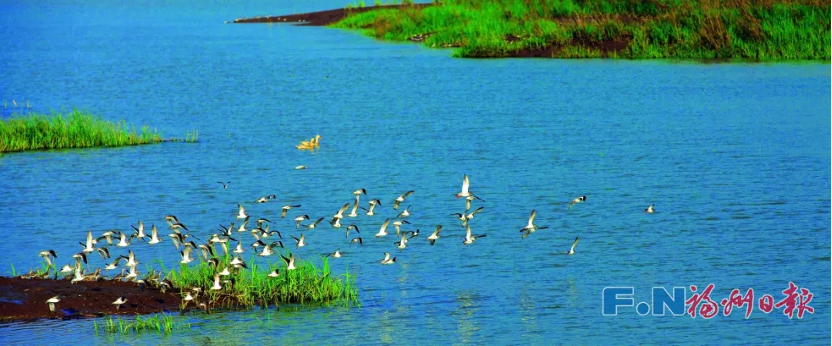 @李现，福州这里好多“鸟类天堂”，你不来吗？