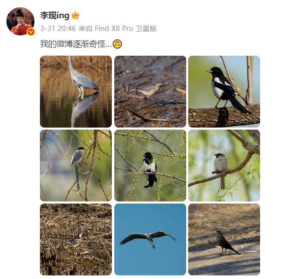 @李现，福州这里好多“鸟类天堂”，你不来吗？