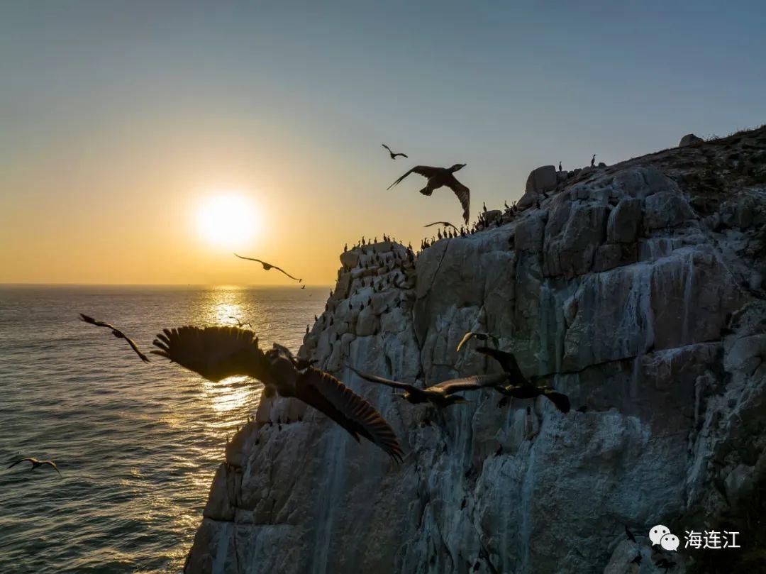 @李现，福州这里好多“鸟类天堂”，你不来吗？