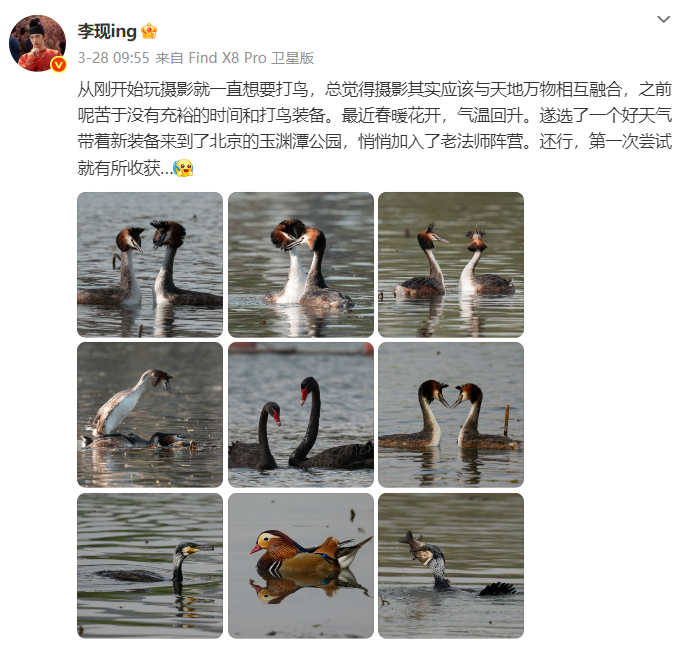 @李现，福州这里好多“鸟类天堂”，你不来吗？