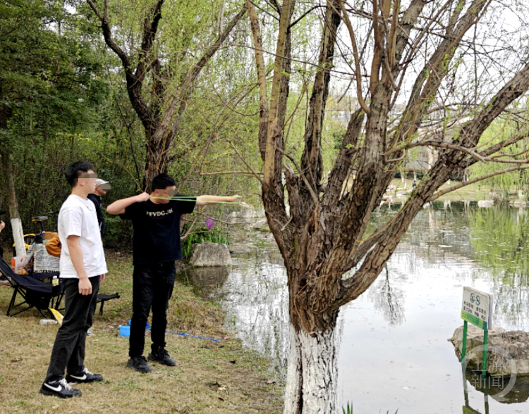 打死西湖鸳鸯的人已找到，为何总有人跟鸟过不去？