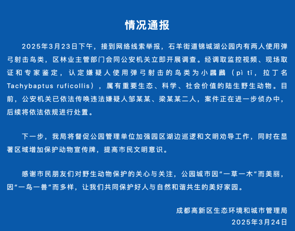 打死西湖鸳鸯的人已找到，为何总有人跟鸟过不去？