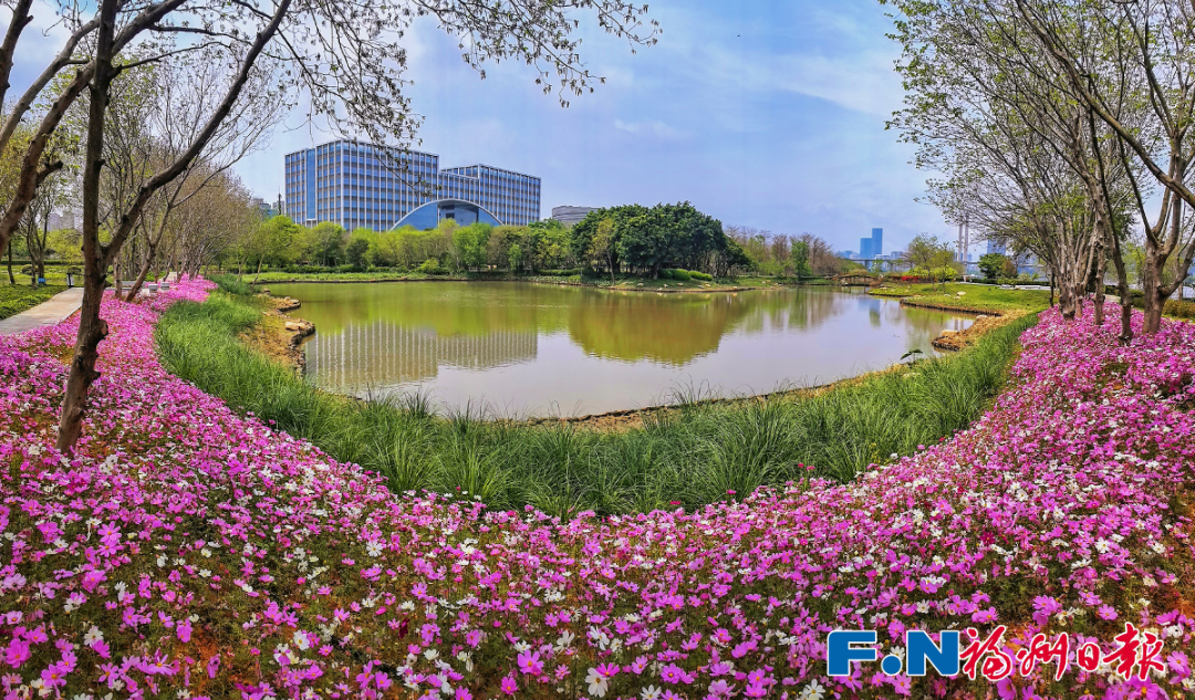 最新！海量曝光！福州再上新！