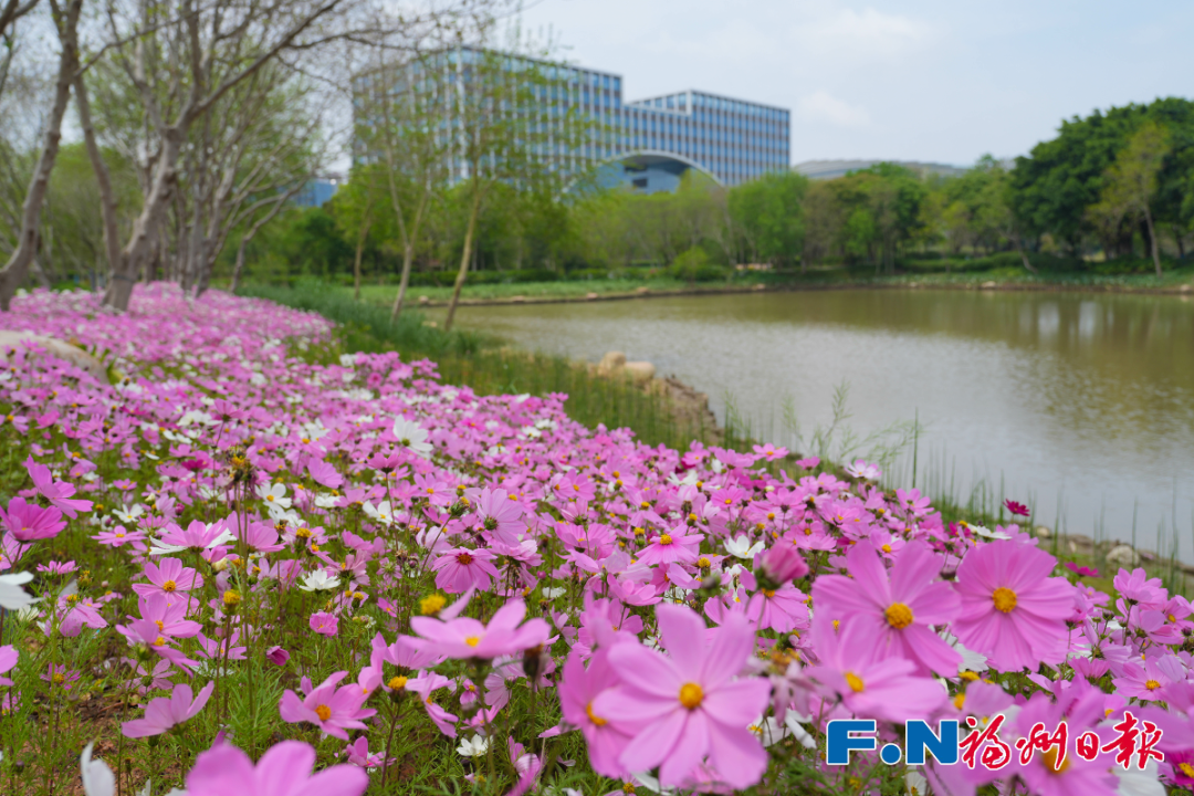 最新！海量曝光！福州再上新！