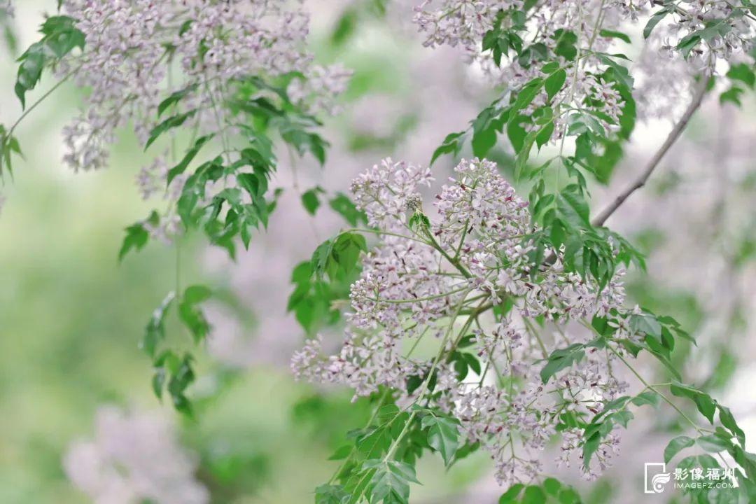 最新！海量曝光！福州再上新！