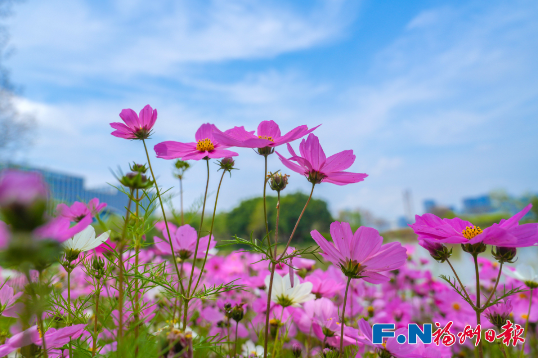 最新！海量曝光！福州再上新！