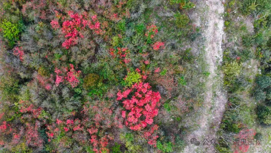 最新！海量曝光！福州再上新！