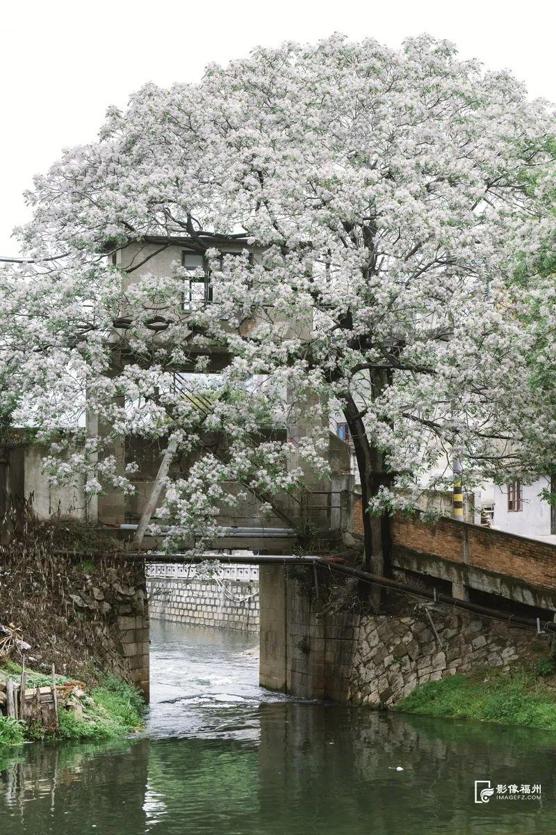 最新！海量曝光！福州再上新！