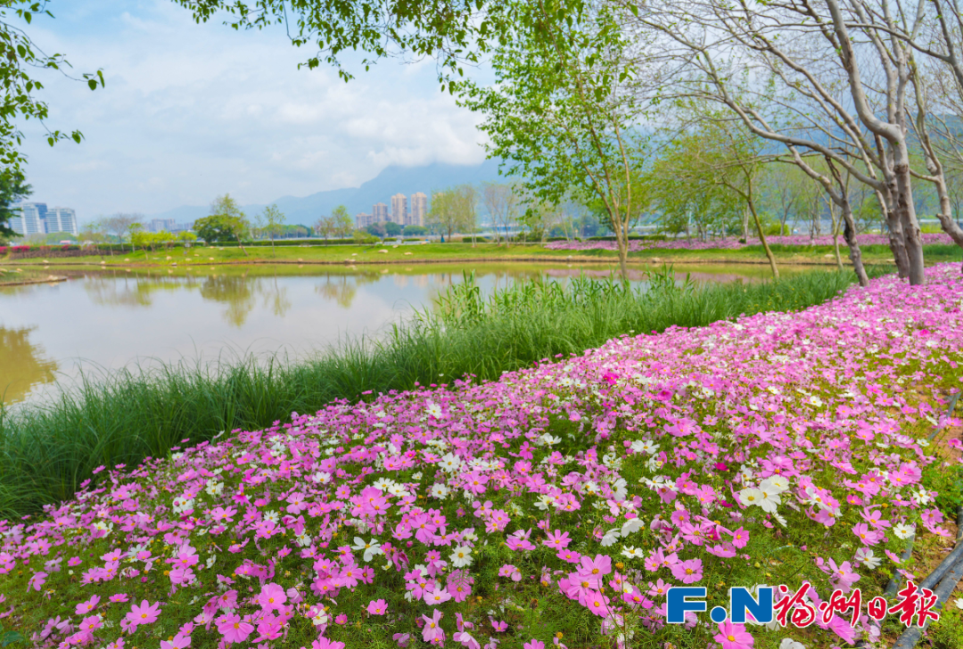 最新！海量曝光！福州再上新！