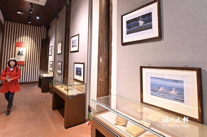 两岸中华凤头燕鸥摄影展在福州台湾会馆举办
