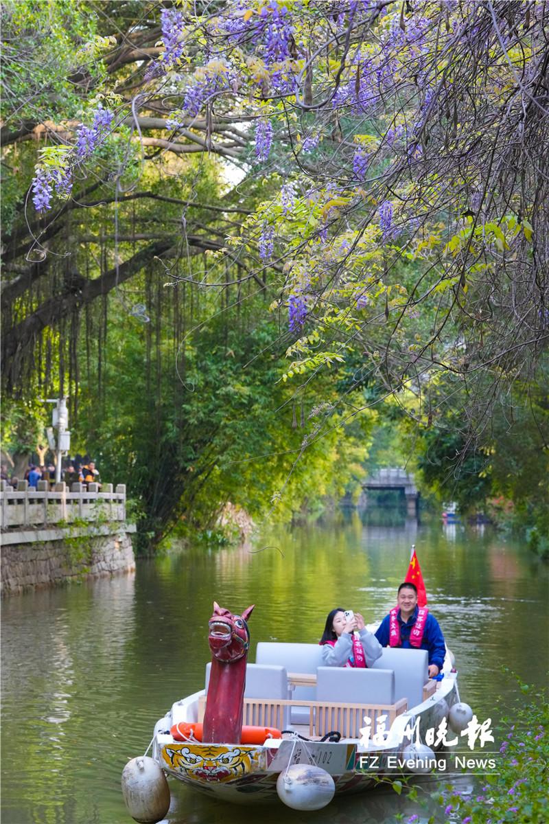 福州内河处处飞花