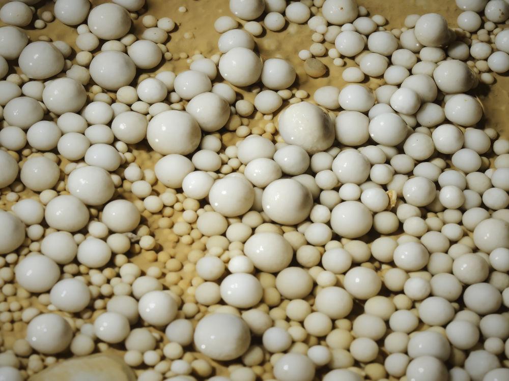 贵州深山发现4.8亿年“地下水晶宫”