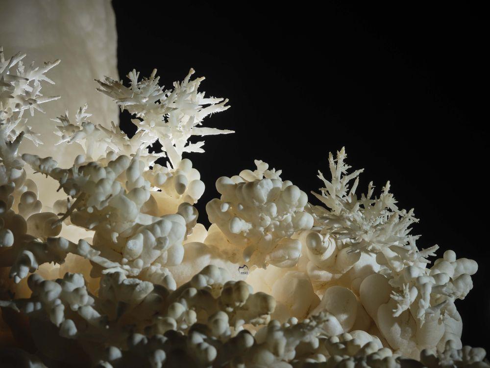 贵州深山发现4.8亿年“地下水晶宫”