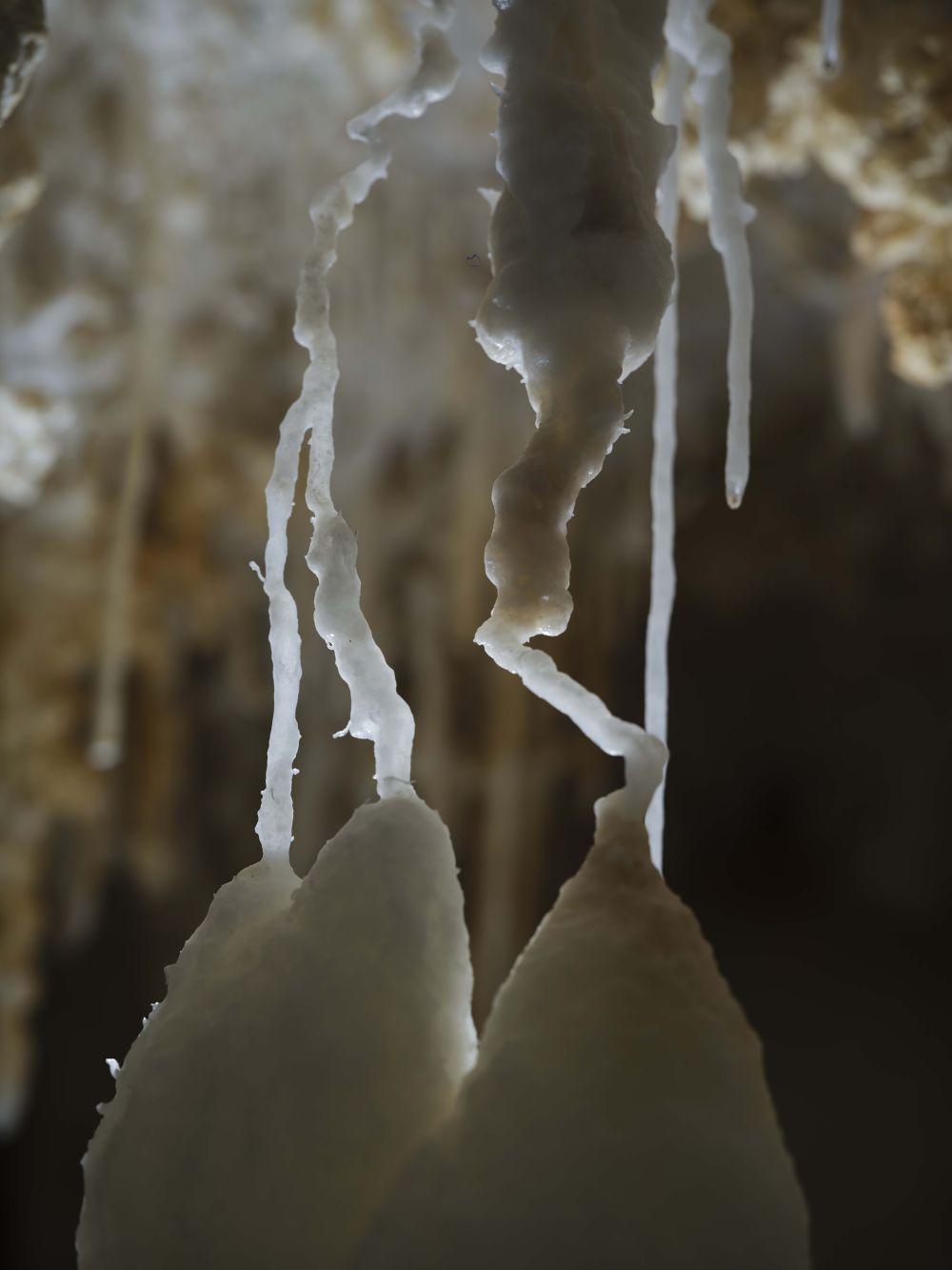 贵州深山发现4.8亿年“地下水晶宫”