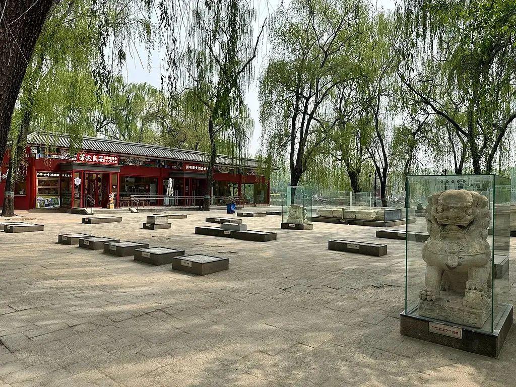 14级阵风已抵北京 全国超一半省份将受影响 居家避险牢记→