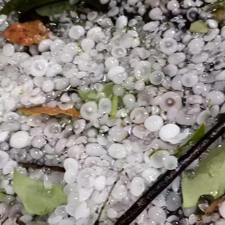 最新！福建双预警解除！福州的情况是……