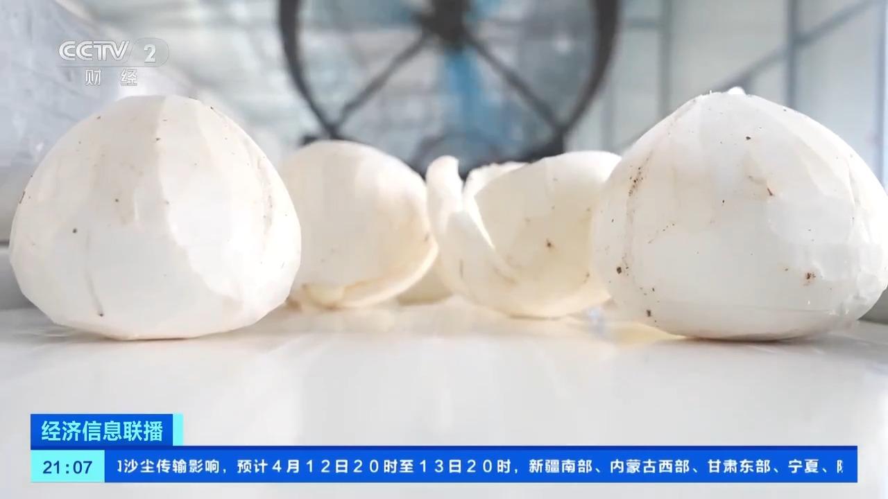 “椰”来了！我国首次从印尼进口鲜食椰子