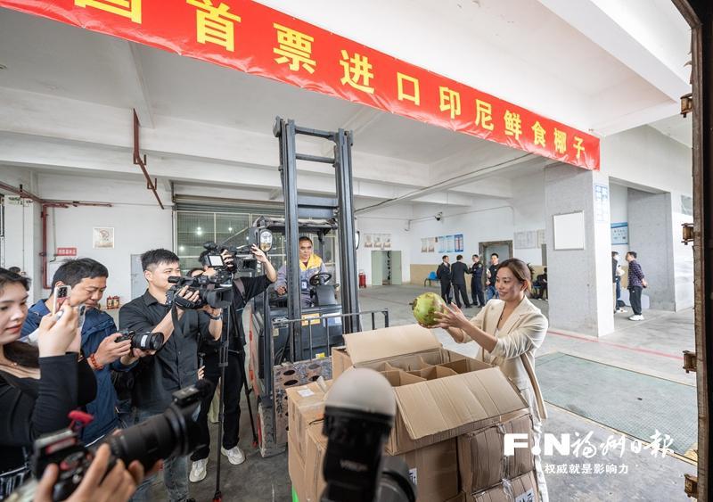 全国首票进口印尼鲜食椰子抵榕