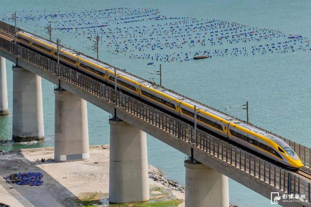 陈子宏:14岁开始“追火车”,拍下上万张照片 陈子宏:14岁开始“追火车”,拍下上万张照片