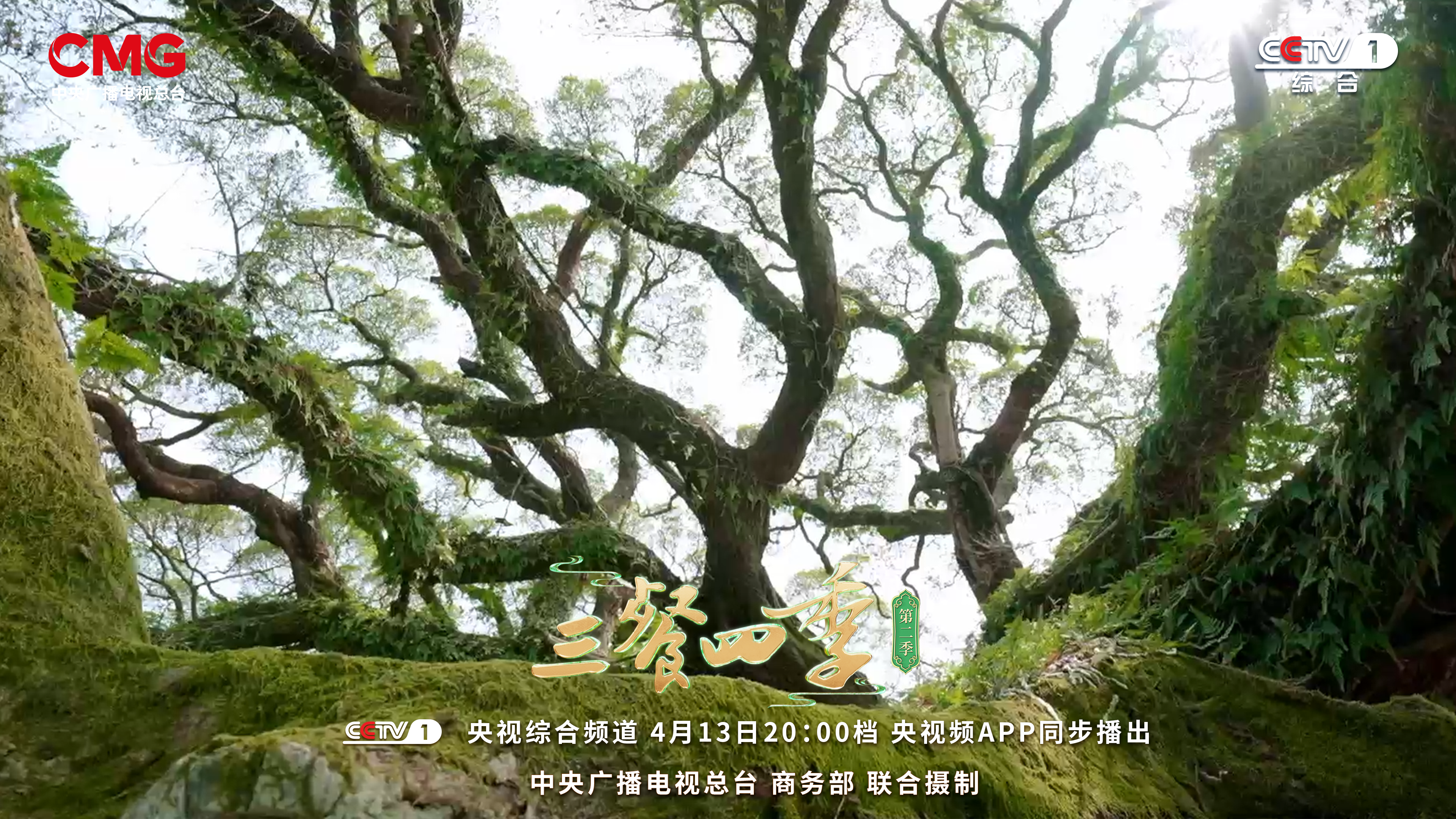 今晚8点！央视寻味福州！有捞化、鱼丸……