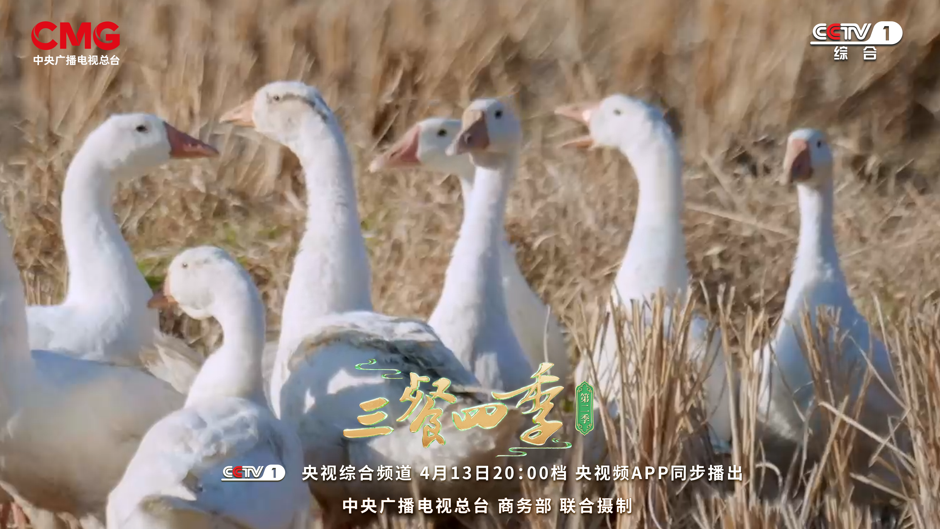 今晚8点！央视寻味福州！有捞化、鱼丸……