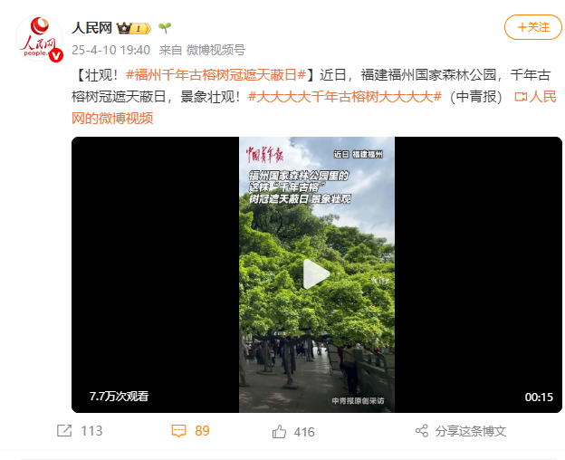 央媒聚焦！点赞超百万！福州千年古榕火遍全国！