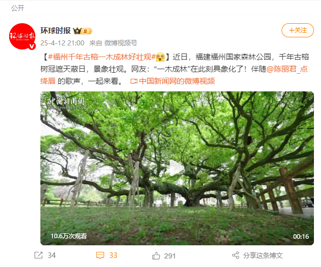 央媒聚焦！点赞超百万！福州千年古榕火遍全国！