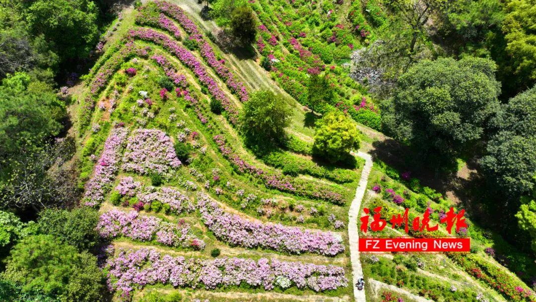 绝美！福州网红打卡地又上新！