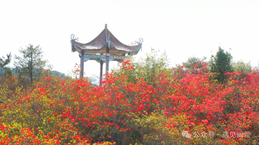 绝美！福州网红打卡地又上新！