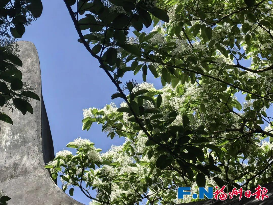 绝美！福州网红打卡地又上新！