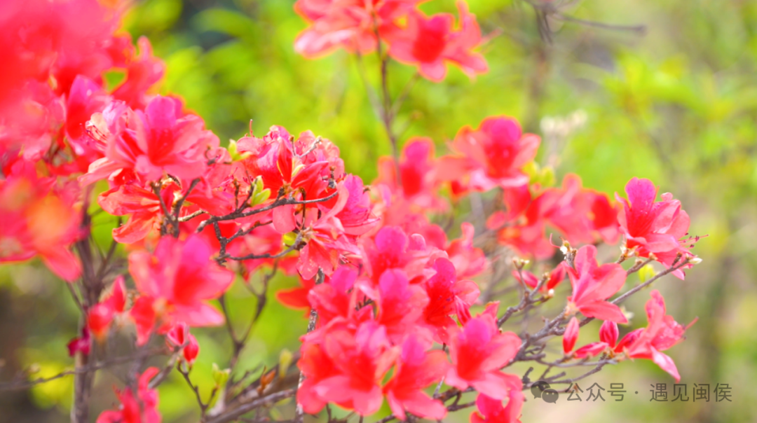 绝美！福州网红打卡地又上新！