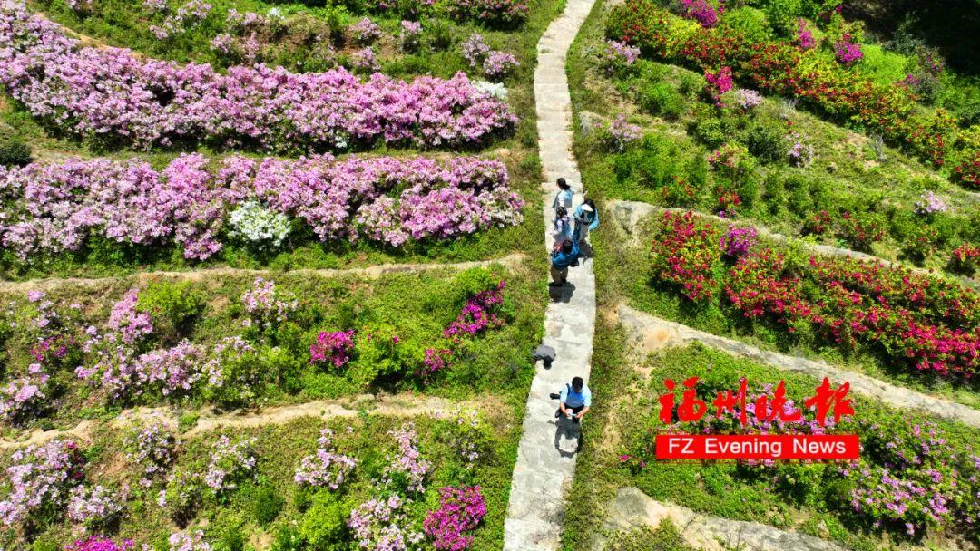 绝美!福州网红打卡地又上新! 绝美!福州网红打卡地又上新!