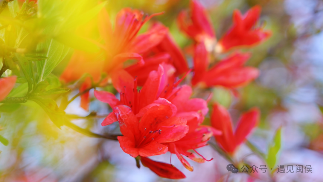 绝美！福州网红打卡地又上新！