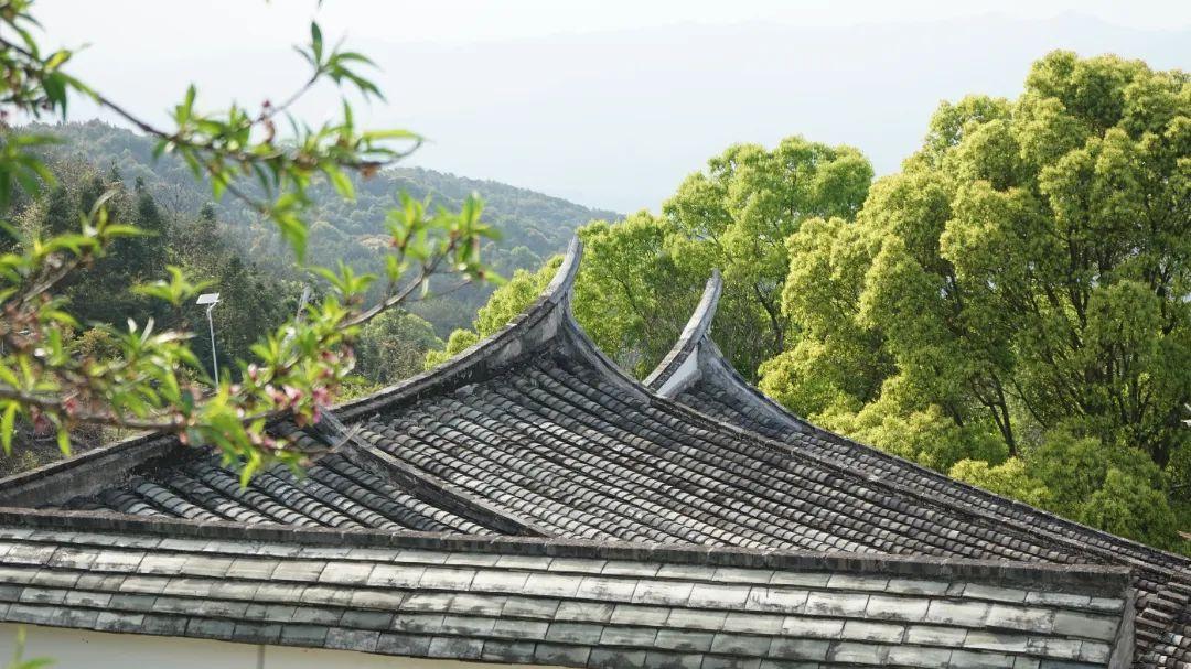 “乡”约闽清 | 梅溪桥东谢氏祖厝：古厝遗风 迎八方来客