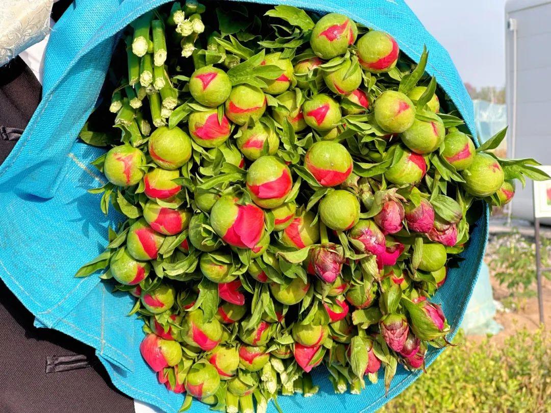 拼多多“千亿扶持”加速电商西进，商家争相掘金西部大市场