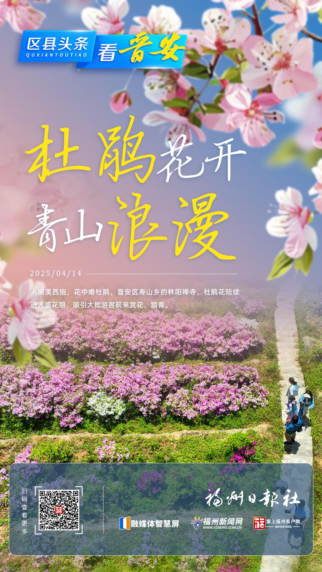 晋安：杜鹃花开 青山浪漫