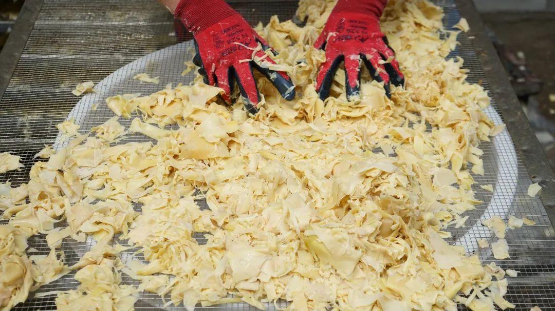 乡村振兴看闽清 | 下祝乡三洋村：笋干飘香 产业兴旺