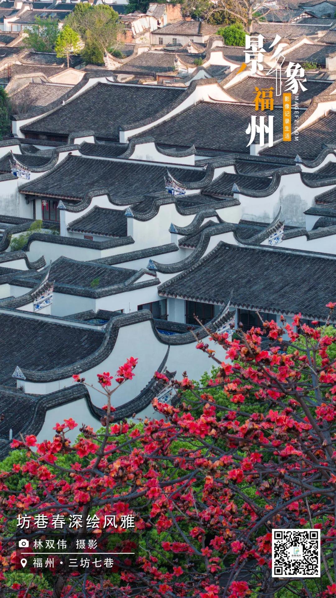 影像福州｜坊巷春深绘风雅