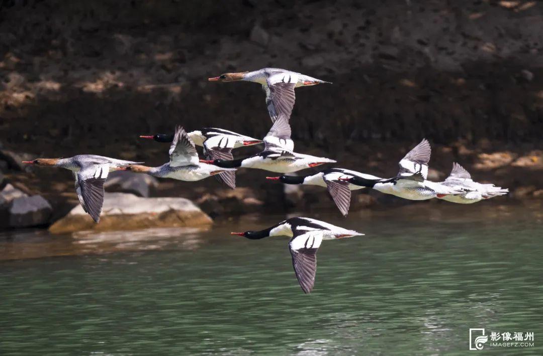 小镜头大生态！美丽福州等你定格！