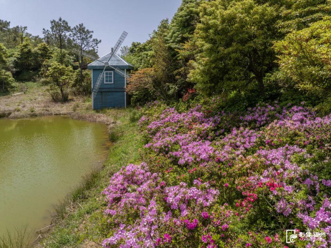 惊艳！福州鼓岭又上新！