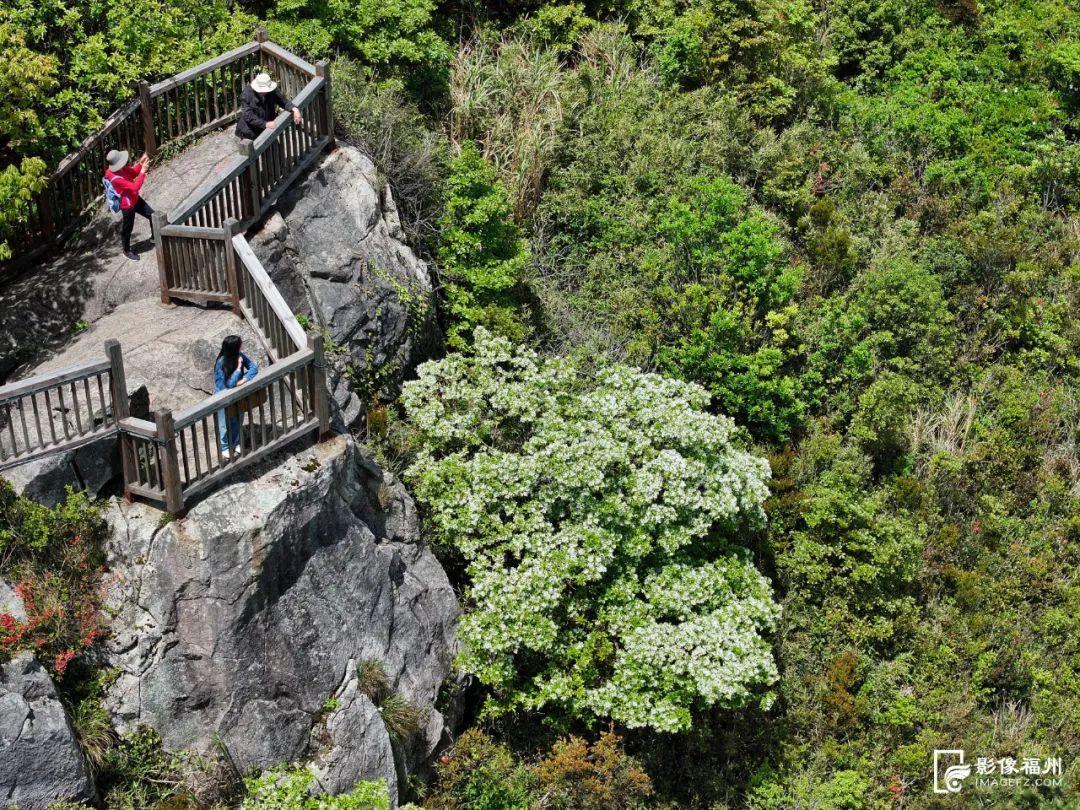 惊艳！福州鼓岭又上新！