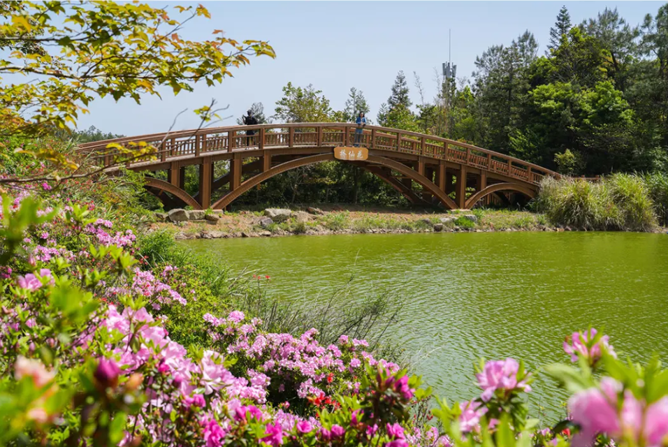 惊艳！福州鼓岭又上新！